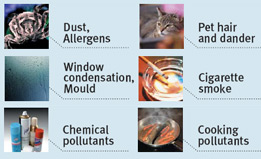 Allergens reduced by air purification systems